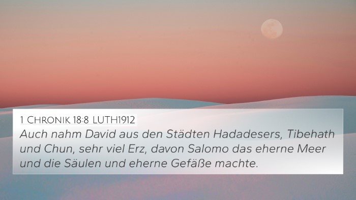 1 Chronik 18:8 LUTH1912 Bible Verse Image