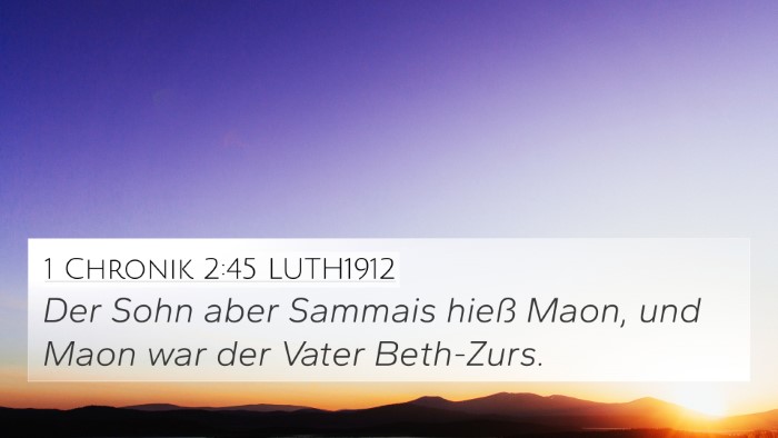 1 Chronik 2:45 LUTH1912 Bible Verse Image