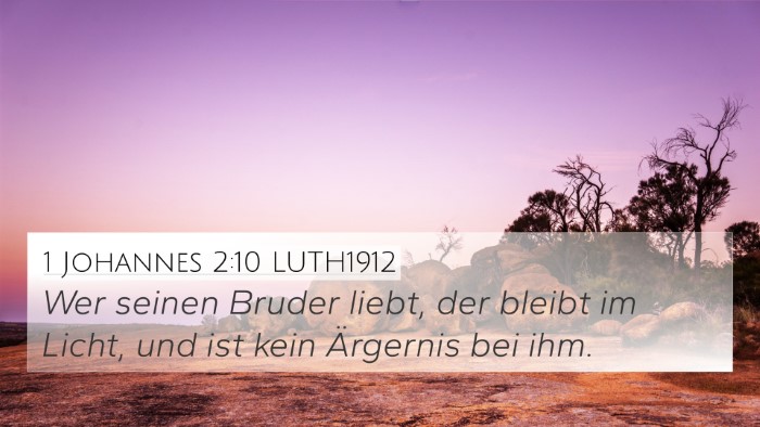 1 Johannes 2:10 LUTH1912 Bible Verse Image