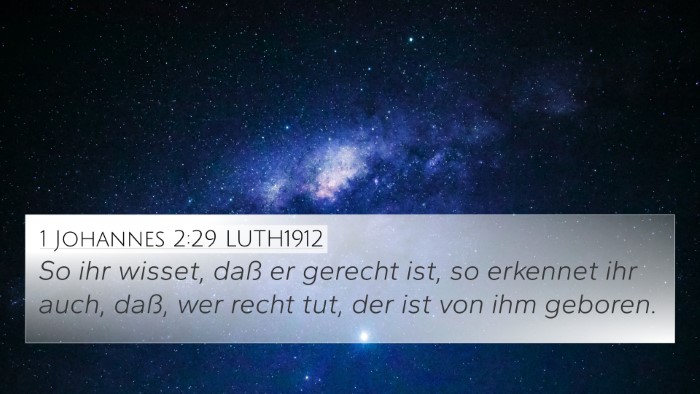 1 Johannes 2:29 LUTH1912 Bible Verse Image