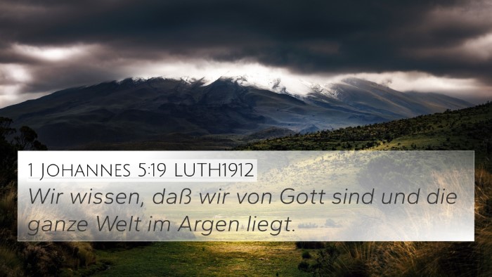 1 Johannes 5:19 LUTH1912 Bible Verse Image
