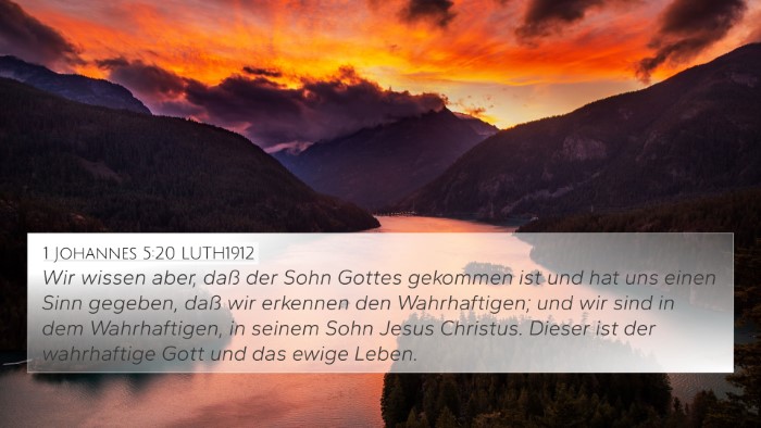 1 Johannes 5:20 LUTH1912 Bible Verse Image