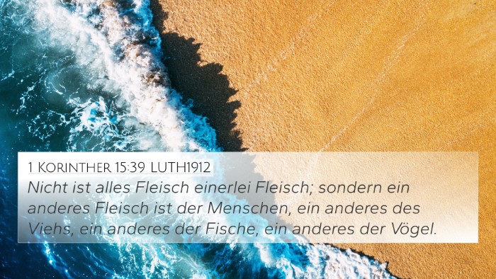 1 Korinther 15:39 LUTH1912 4K Wallpaper - Nicht ist alles Fleisch einerlei Fleisch; sondern - 4K Wallpaper Bible Verse