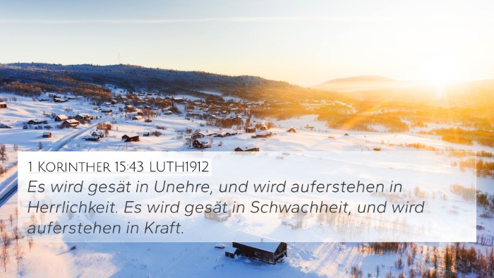1 Korinther 15:43 LUTH1912 Bible Verse Image