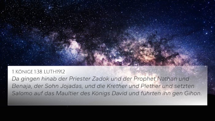 1 Könige 1:38 LUTH1912 Bible Verse Image