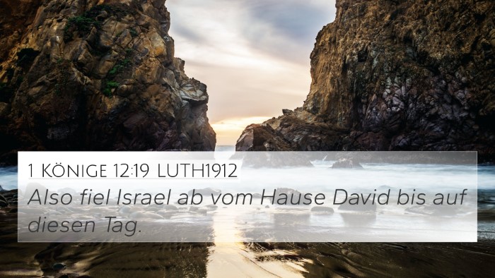 1 Könige 12:19 LUTH1912 Bible Verse Image