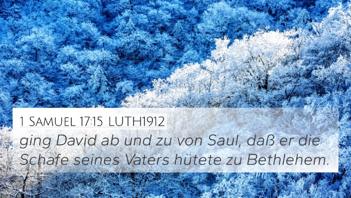 1 Samuel 17:15 LUTH1912 Bible Verse Image