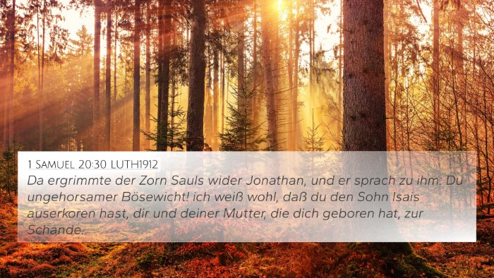 1 Samuel 20:30 LUTH1912 Bible Verse Image