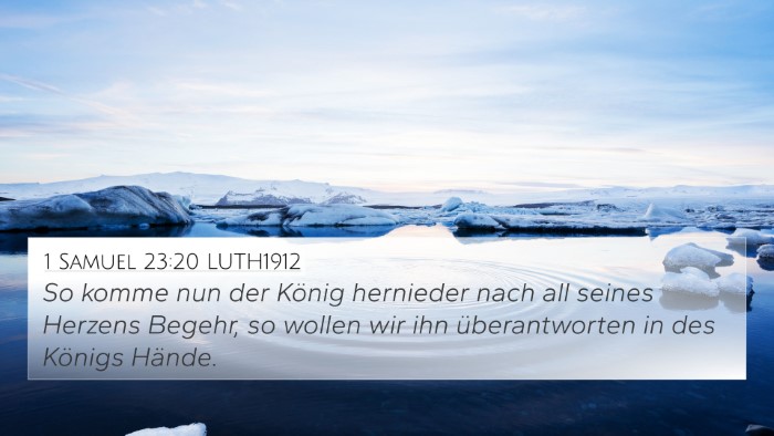 1 Samuel 23:20 LUTH1912 Bible Verse Image