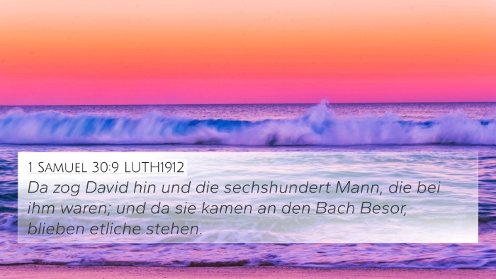 1 Samuel 30:9 LUTH1912 Bible Verse Image