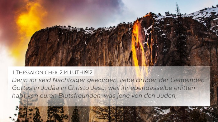 1 Thessalonicher 2:14 LUTH1912 Bible Verse Image