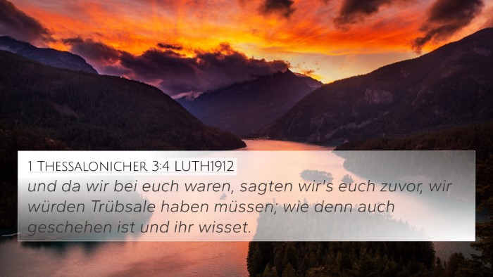 1 Thessalonicher 3:4 LUTH1912 Bible Verse Image