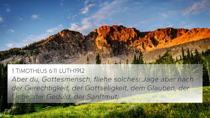 1 Timotheus 6:11 LUTH1912 Bible Verse Image