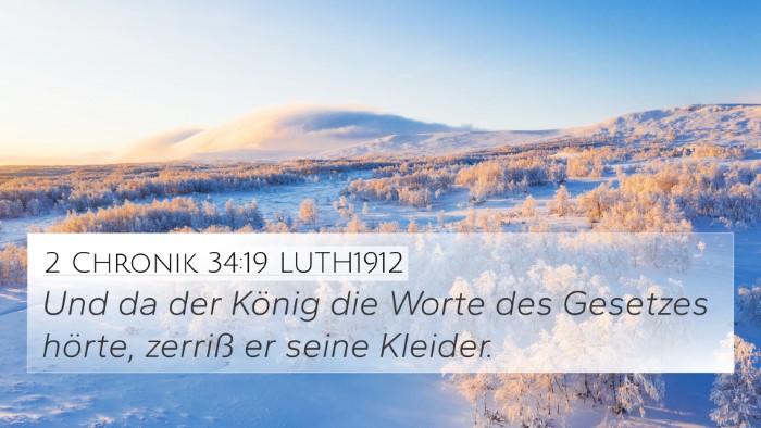 2 Chronik 34:19 LUTH1912 Bible Verse Image