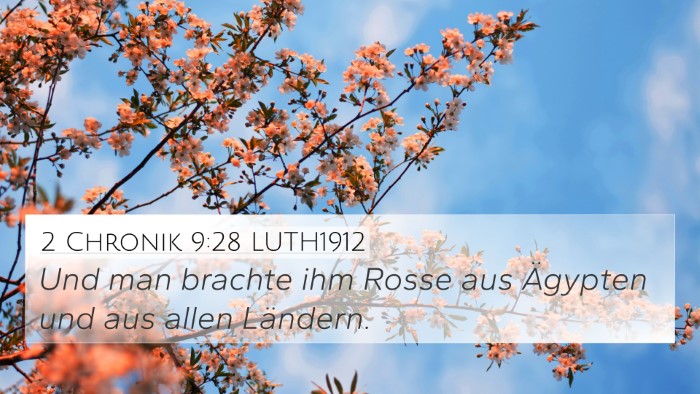2 Chronik 9:28 LUTH1912 Bible Verse Image