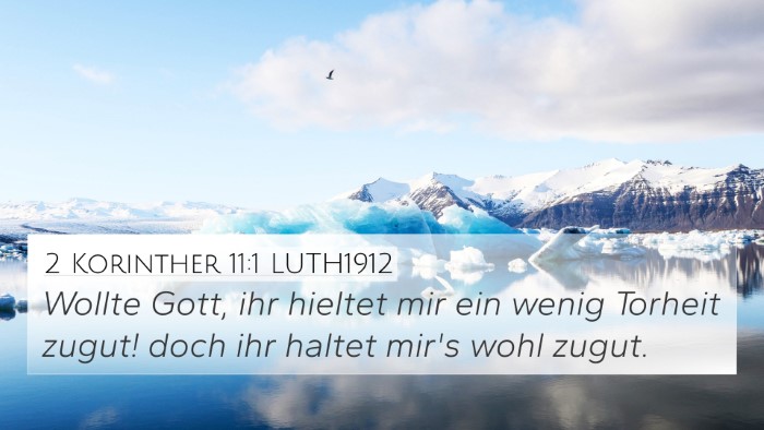 2 Korinther 11:1 LUTH1912 Bible Verse Image