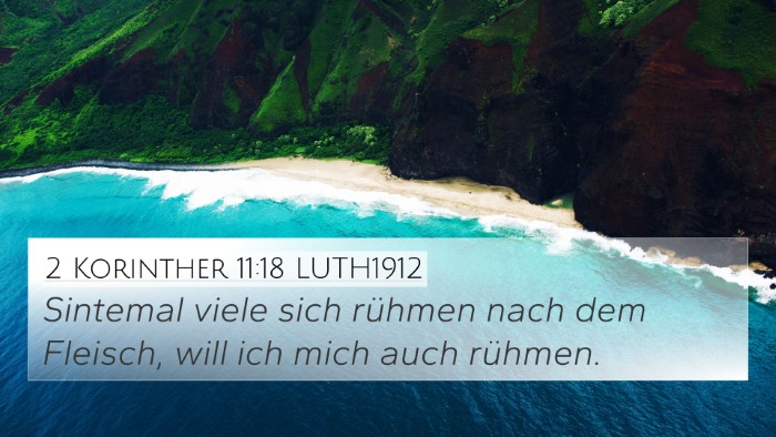 2 Korinther 11:18 LUTH1912 Bible Verse Image