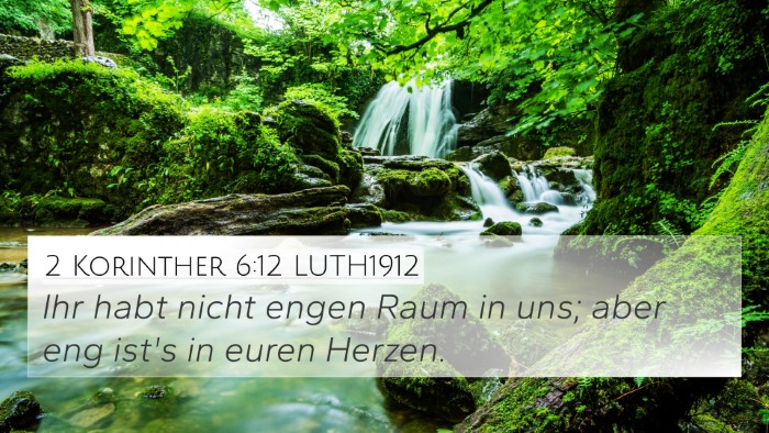 2 Korinther 6:12 LUTH1912 Bible Verse Image