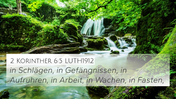 2 Korinther 6:5 LUTH1912 Bible Verse Image