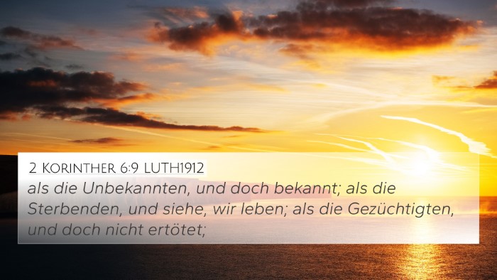 2 Korinther 6:9 LUTH1912 Bible Verse Image