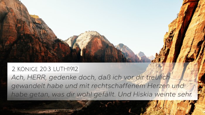 2 Könige 20:3 LUTH1912 Bible Verse Image