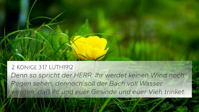 2 Könige 3:17 LUTH1912 4K Wallpaper - Denn so spricht der HERR: Ihr werdet keinen Wind - 4K Wallpaper Bible Verse