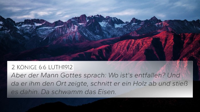 2 Könige 6:6 LUTH1912 Bible Verse Image