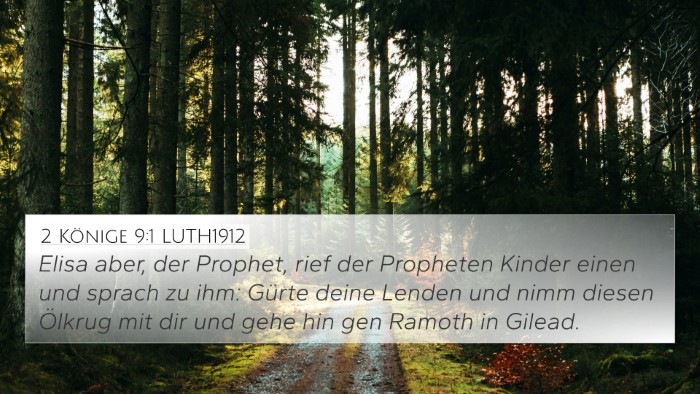 2 Könige 9:1 LUTH1912 Bible Verse Image