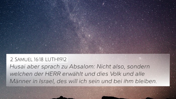 2 Samuel 16:18 LUTH1912 4K Wallpaper - Husai aber sprach zu Absalom: Nicht also, sondern - 4K Wallpaper Bible Verse