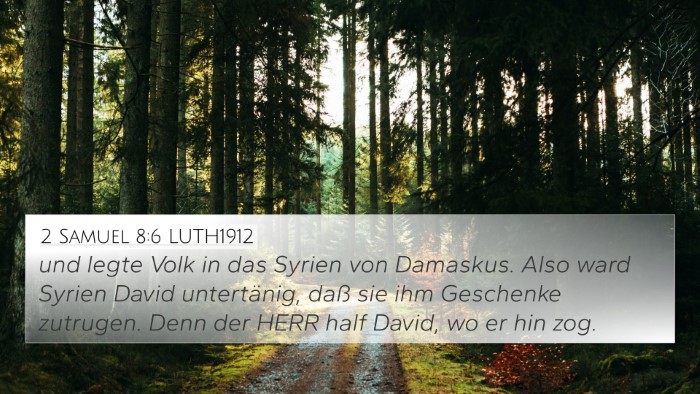 2 Samuel 8:6 LUTH1912 Bible Verse Image