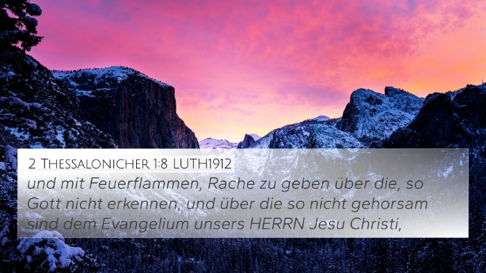 2 Thessalonicher 1:8 LUTH1912 Bible Verse Image
