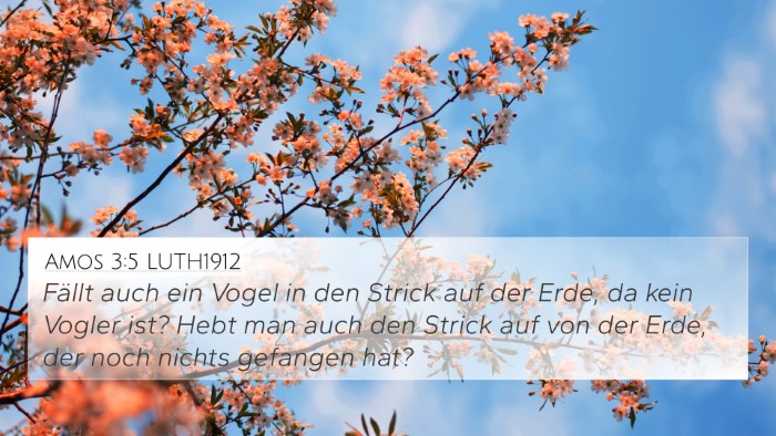 Amos 3:5 LUTH1912 4K Wallpaper - Fällt auch ein Vogel in den Strick auf der Erde, - 4K Wallpaper Bible Verse