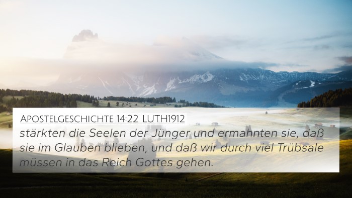 Apostelgeschichte 14:22 LUTH1912 Bible Verse Image