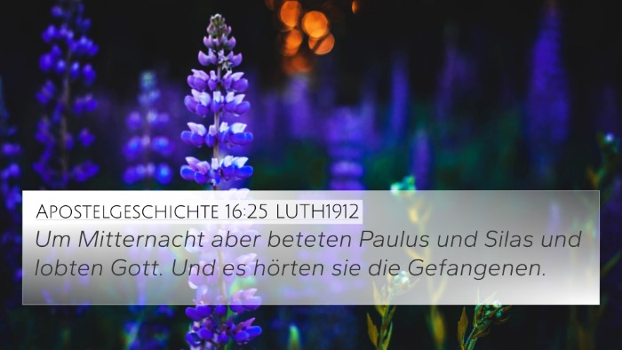 Apostelgeschichte 16:25 LUTH1912 Bible Verse Image