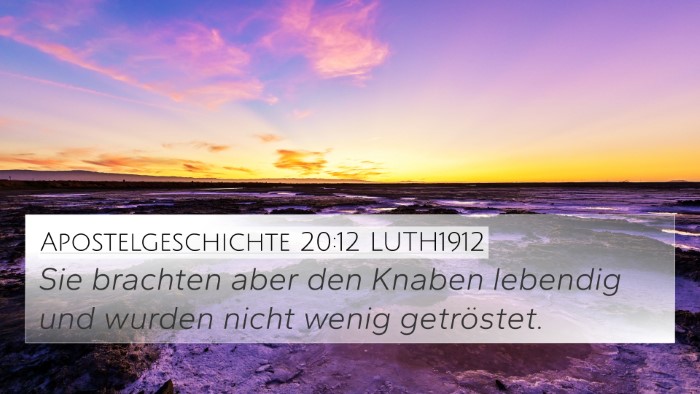 Apostelgeschichte 20:12 LUTH1912 4K Wallpaper - Sie brachten aber den Knaben lebendig und wurden - 4K Wallpaper Bible Verse
