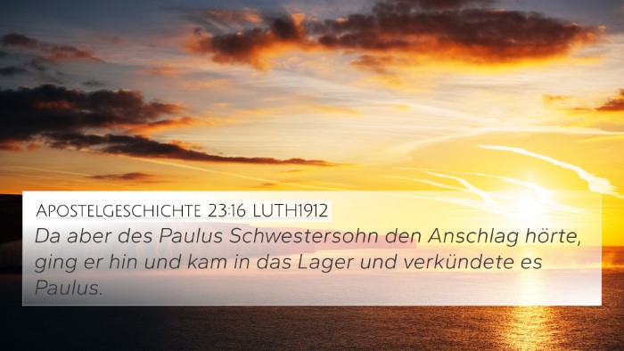 Apostelgeschichte 23:16 LUTH1912 Bible Verse Image