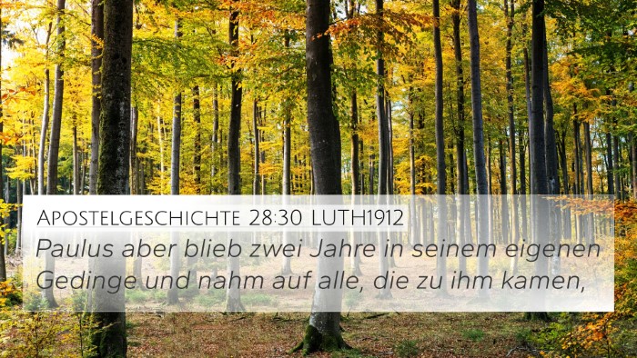 Apostelgeschichte 28:30 LUTH1912 Bible Verse Image