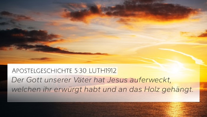 Apostelgeschichte 5:30 LUTH1912 Bible Verse Image