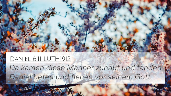Daniel 6:11 LUTH1912 Bible Verse Image