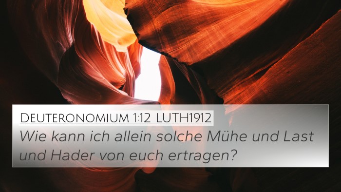 Deuteronomium 1:12 LUTH1912 4K Wallpaper - Wie kann ich allein solche Mühe und Last und - 4K Wallpaper Bible Verse