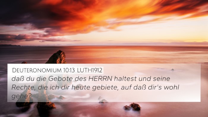 Deuteronomium 10:13 LUTH1912 Bible Verse Image