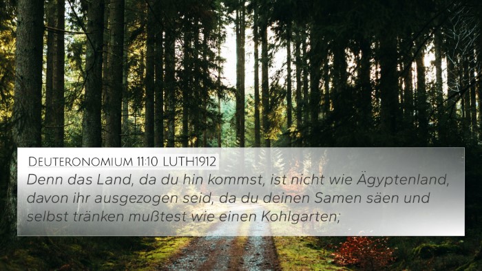 Deuteronomium 11:10 LUTH1912 Bible Verse Image