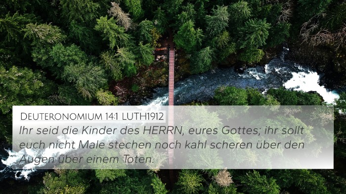 Deuteronomium 14:1 LUTH1912 Bible Verse Image