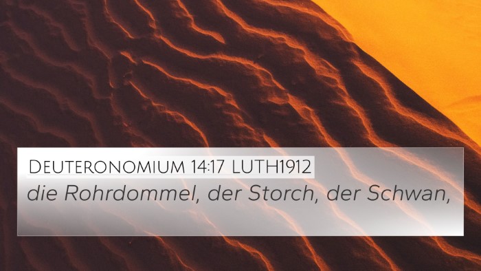 Deuteronomium 14:17 LUTH1912 4K Wallpaper - die Rohrdommel, der Storch, der - 4K Wallpaper Bible Verse