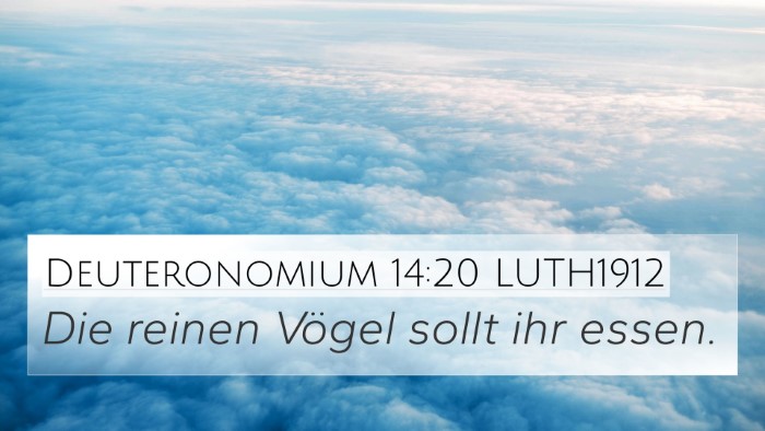 Deuteronomium 14:20 LUTH1912 4K Wallpaper - Die reinen Vögel sollt ihr - 4K Wallpaper Bible Verse