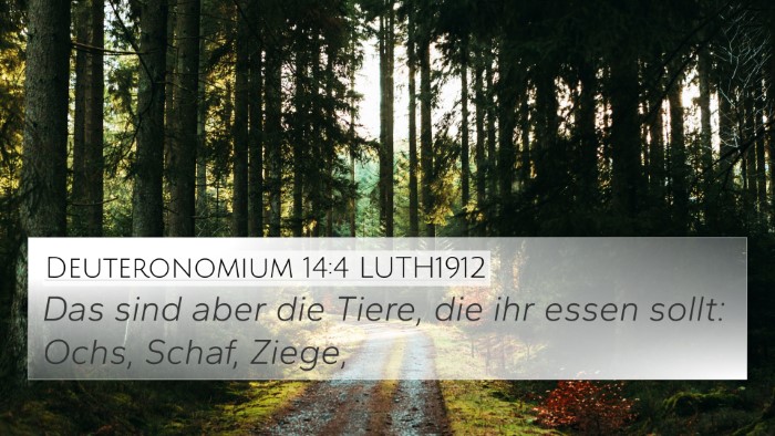 Deuteronomium 14:4 LUTH1912 4K Wallpaper - Das sind aber die Tiere, die ihr essen sollt: - 4K Wallpaper Bible Verse