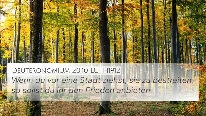 Deuteronomium 20:10 LUTH1912 Bible Verse Image
