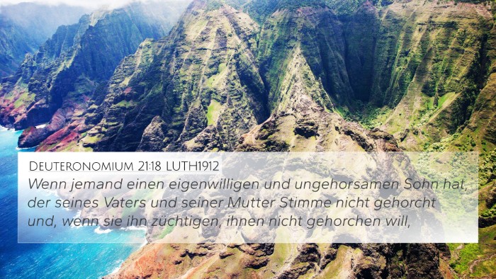 Deuteronomium 21:18 LUTH1912 Bible Verse Image