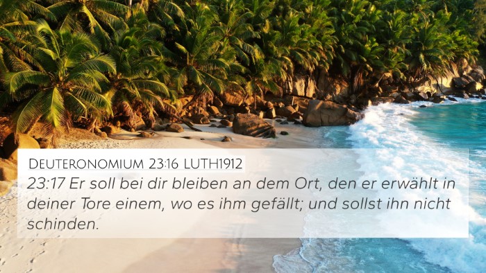 Deuteronomium 23:16 LUTH1912 4K Wallpaper - 23:17 Er soll bei dir bleiben an dem Ort, den er - 4K Wallpaper Bible Verse
