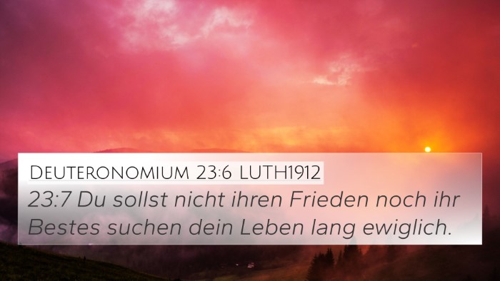Deuteronomium 23:6 LUTH1912 4K Wallpaper - 23:7 Du sollst nicht ihren Frieden noch ihr - 4K Wallpaper Bible Verse